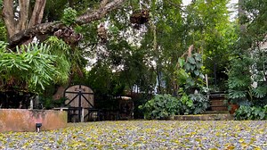 Why you should wait a few weeks for outdoor spring cleaning