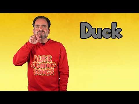 Sign DUCK | ASL for DUCK | DUCK in Sign Language | Sign Language for DUCK