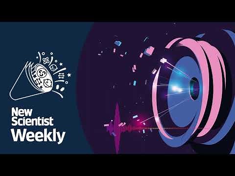 Our five favourite New Scientist long-reads from 2022 I New Scientist Weekly podcast 155