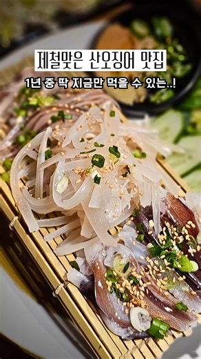 산오징어와 갑오징어로 돌아온 첨단 제철음식 맛집