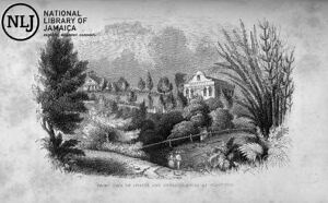 Sligoville: Jamaica’s first free village - Jamaica Observer