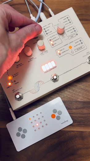 Nanoloop Q & Microcosm #nanoloop