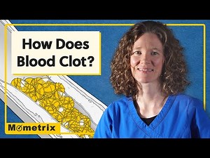 What is a Coagulation Profile Test?