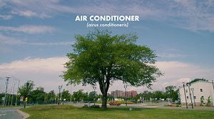 37K views · 356 reactions | Did you know that trees do so much more than beautify our communities? We partnered with PLANifax to help explain the many benefits trees bring to the municipality. To learn more about the role of trees in the Halifax region, visit our website https://bit.ly/2P7USaK | Halifax Regional Municipality | Facebook