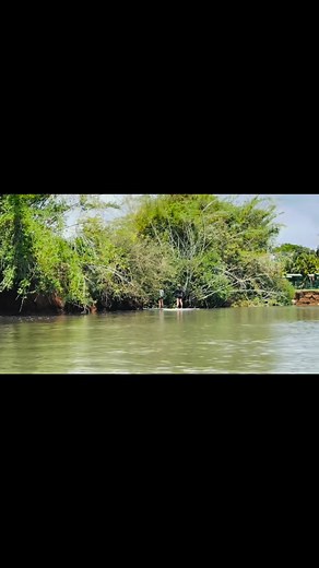Amazing place for Stand Up Paddle Boarding in Hawaii is at Anahulu River in Haleiwa. #adventurehawaii #supboard #HawaiiLife #fblifestyle #everyonehighlights | El Ly