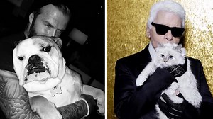 Nach zwei verpassten Modenschauen in Paris: Karl Lagerfeld meldet sich via Instagram
