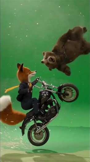 Fox Styles – “American Girls” (Harry Styles #1 Global 200) |Animal Version! 🦊🔥 #animals #dance