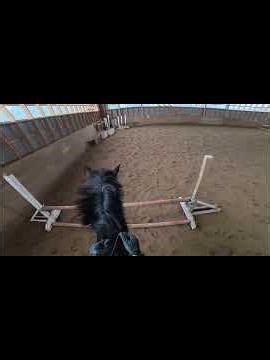 This Jump Lesson Was Tricky! #shorts #horseriding #equestrian