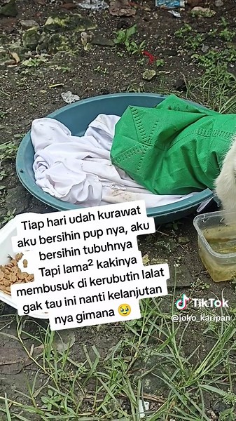 Ananda 95 (@joko_karipan)’s videos with suara asli - Ananda 95