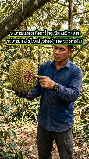 หนามแดงเถือก! ทุเรียนผิวเสีย หนามแห้งไหม้ พ่อค้ากดราคายับ 🪵🚨