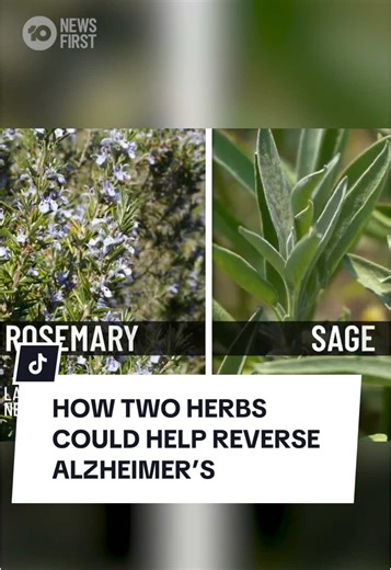 Reversing Alzheimer's with Rosemary and Sage