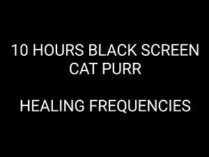 10 HOURS Deep Healing Cat Purr - Instant Sleep & Anxiety Relief (BLACK SCREEN)