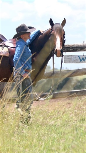 The team behind Eminent Equine firmly believes that elite Australian Performance Mares and Stallions are often underrepresented. These exceptional horses play a crucial role in shaping the future of the sport and breeding programs across the nation, and they deserve a dedicated platform that recognises their significance. With this vision in mind, Eminent Equine has created a space that showcases the true value of these remarkable horses, offering both owners and the wider industry a unique oppo