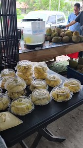 Awal habis tapi tambah slalu dah ni mari | Hamka Station - Air Balang Beratur