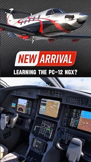 MSFS 2024 Pilots need this AI Copilot
