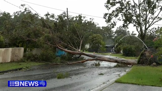 An investigation into the aftermath of Cyclone Alfred has slammed an 'over-reliance on technology', to issue public information. #9News | 9 News Queensland