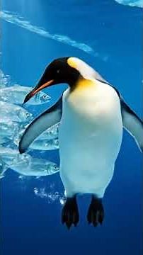 Penguin Survival in Antarctica | Cinematic Wildlife Documentary 4K