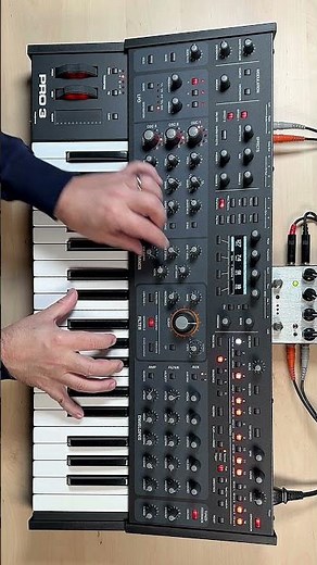 Sequential Pro3: Hybrid Ambient Soundscape #synth #ambient #arpeggiator #hybrid #soundscape