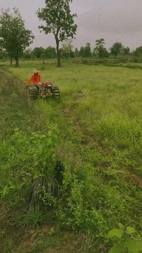 อรกัญญา บน TikTok