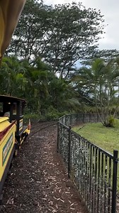 Take a relaxing ride through paradise on the Pineapple Express Train Tour! 🚂🍍 Sit back, enjoy the scenic views of lush landscapes and endless pineapple fields, and soak in the history of Hawai‘i’s pineapple industry. 🌿✨ Have you been on the Pineapple Express Train Tour? 🎟️ Mahalo for sharing your reel with us @songsandplaces! . . . #doleplantation #pineapplexpress #train #hawaiitrains #hawaiitrain #trainride #pineapples #hawaiitours #hawaiivacation #oahutours #oahutrip #wahiawa #hawaii #oahu