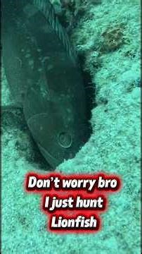 One of the biggest booms I’ve ever bammed!