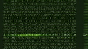 Docs: NSA developing quantum computer