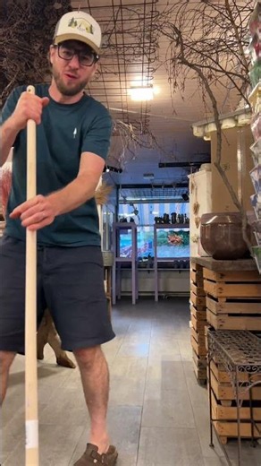Summer break is here… the flower shop reopens on August 11. #summer #vacation #bern