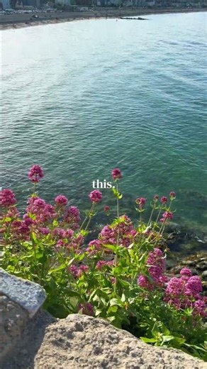 What Makes Me Happy 🌊✨ | Simple Moments in Nature