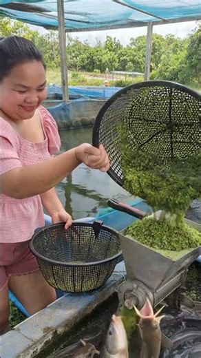 Simple traditional fish farming methods #Lynn blab at magnite #reelsfb #foryoupage #foryou #frog ...