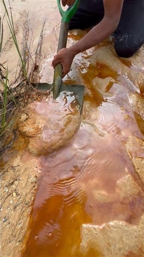The small puddle was filled with lots of gold #mininggold #mencariemas #goldprospecting