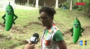 WHAT is going on in fair Helen. PRAY PRAY PRAY INCESSANTLY EVERYDAY | 758 Police the Police