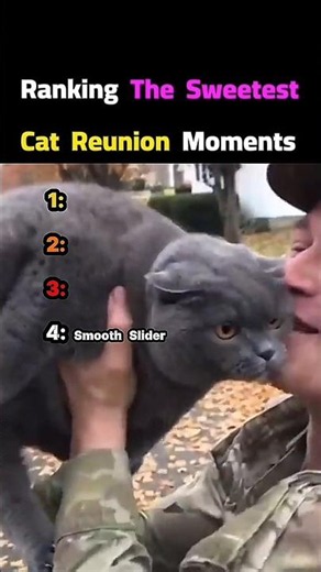 He Sprinted Full Speed The Moment He Saw His Dad! 😭❤️ #catshorts #catlove #reunion