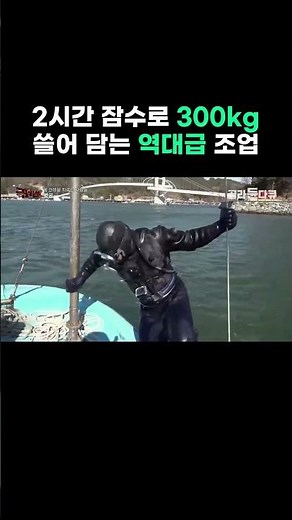 2시간 잠수로 300kg 쓸어 담는 역대급 조업 #골라듄다큐 #shorts