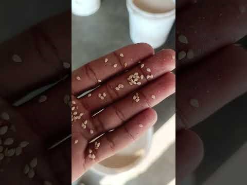 Oil Expeller Machine Full Process | Pure Sesame Oil Extraction