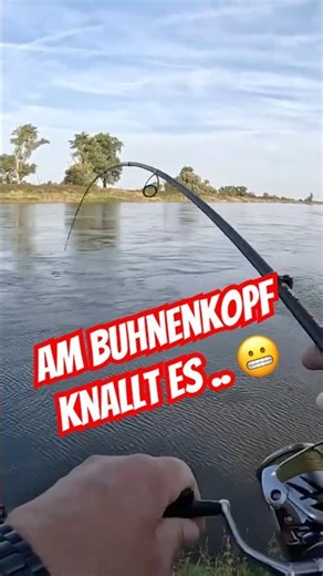 Am Buhnenkopf knallt es, - Angeln auf Zander, Hecht und Barsch … 🐟🎣🐟