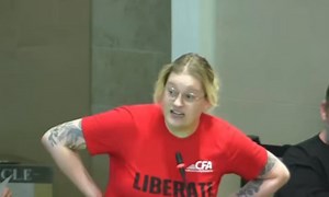 No disrespect to the many sane professors & doctors of whatever out there, but there appear to be an awful lot of people using these titles, who are the most successful walking, talking & breathing advertisements for reopening asylums worldwide I’ve ever come across…