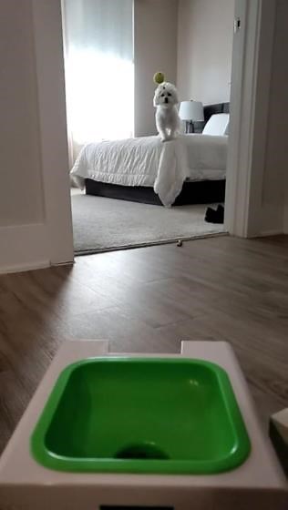 08ae2564665649db8a0363ae86ce887e