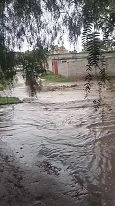 Al tiro con sus muñecas 🤣 | Corte Primero Oficial