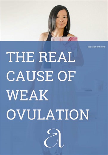 Understanding Weak Ovulation: Improving Follicle Health
