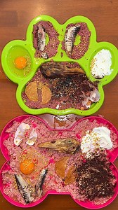 846K views · 24K reactions | ASMR making dinner for Rudy & Rylie 數 #dogs #asmr #dogasmr #dogmom #dogfood #rawfeddog #dog #dogtreats #kibble #reels #viral #asmrsounds #rawfeeding | Kayla Kowalski Nutrition | Facebook