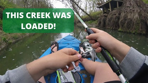 Tiny Creek Full of Bass with Googan Baits Lunker Log Action