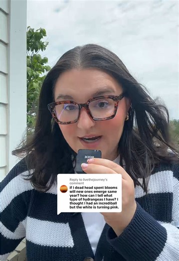 Deadheading 101: Tips for Thriving Plants