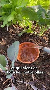Making oyas
