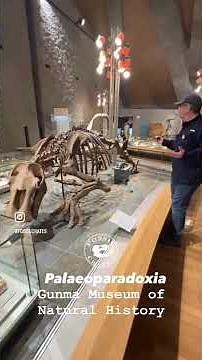 A Hippo? A Backhoe? Nope - Paleoparadoxia! #Paleontology #Miocene