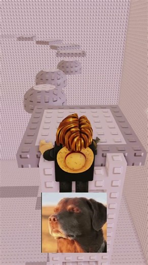 Why is playing roblox require a finance degree??