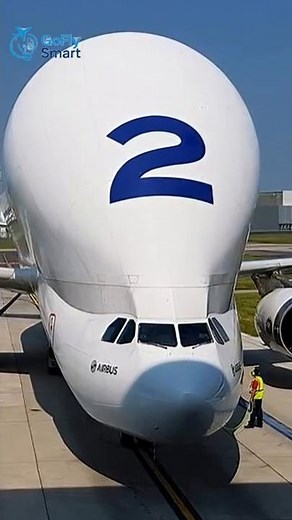 Why Beluga’s Cockpit So Small