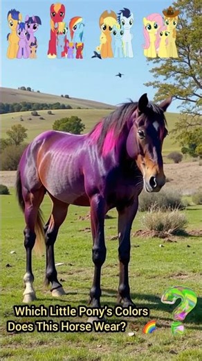 Which Little Pony’s Colors Does This Horse Wear? 🐎🌈