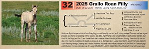 Lot 32 - Grullo Roan Filly: Blue Valentine & Driftwood - Heritage Production Sale