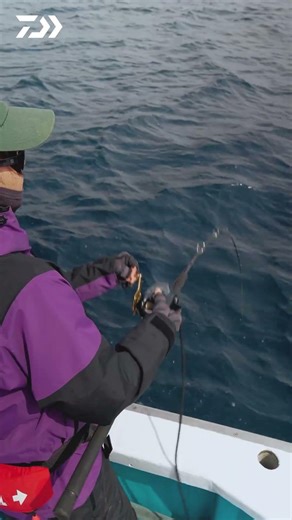 Electric Jigging With SEABORG G400J