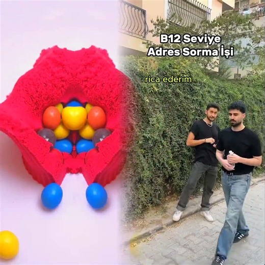 B12 seviye adres sorma işi sizce başarılı mı oldu? 🤔 Yorum yap! 👇 #Bizarreshorts #keşfet #viral #fyp